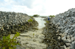 Knocked Conch Middens, Middleton Cay, South Caicos (copyright J.A. Cigliano)